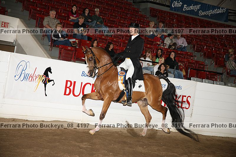 Proof buckeye_08_4197