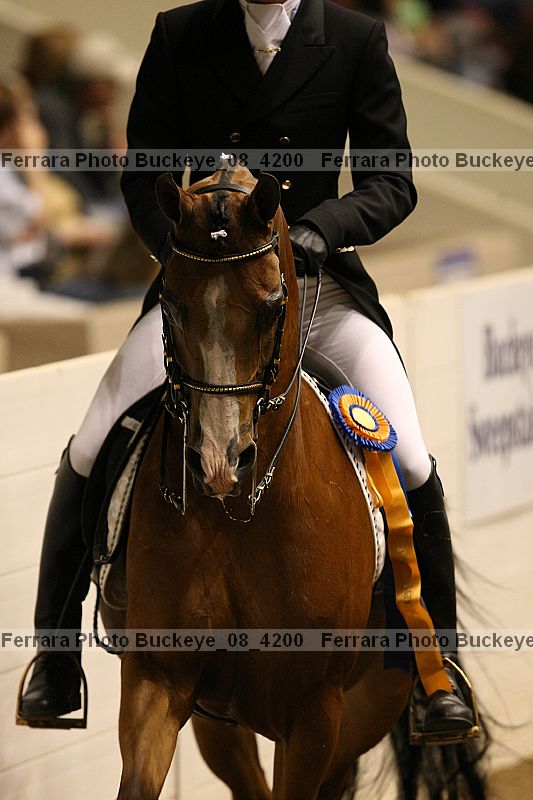 Proof buckeye_08_4200