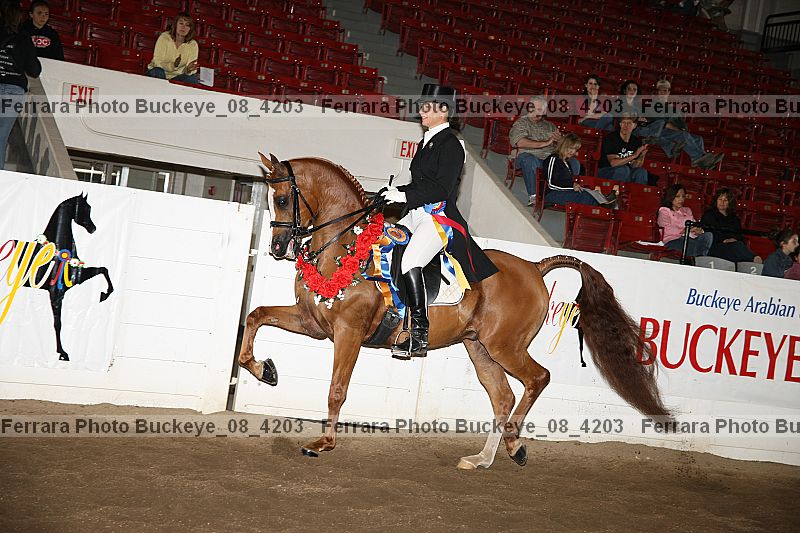 Proof buckeye_08_4203