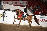 buckeye_08_4203 proof