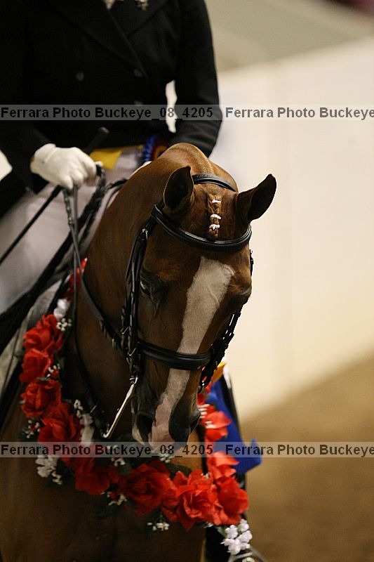Proof buckeye_08_4205