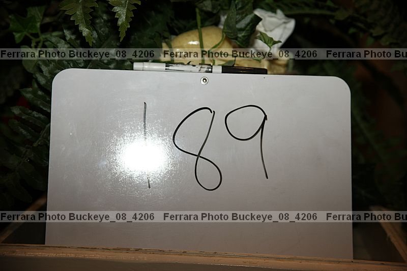 Proof buckeye_08_4206