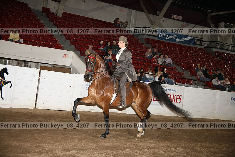 Proof buckeye_08_4207