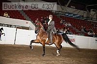 buckeye_08_4207 proof