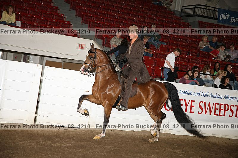 Proof buckeye_08_4210