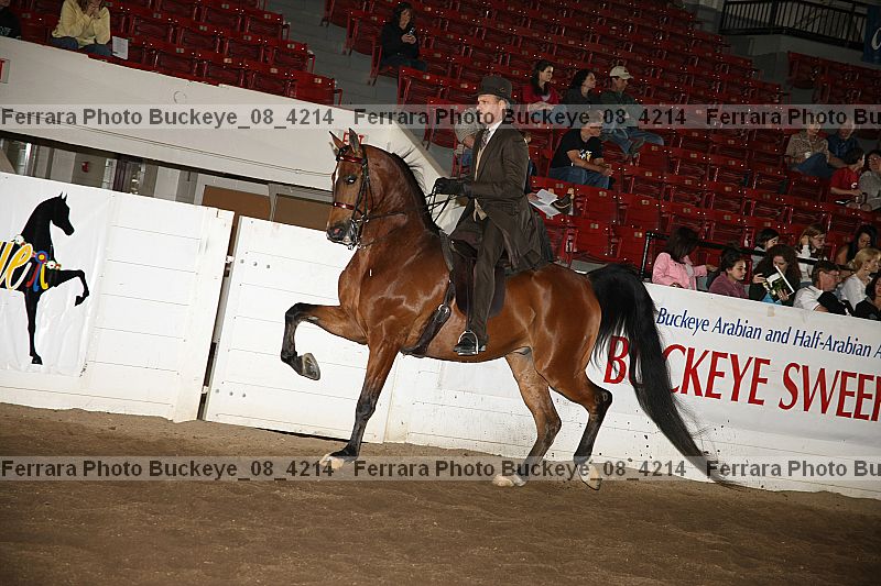 Proof buckeye_08_4214