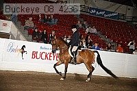 buckeye_08_4236 proof