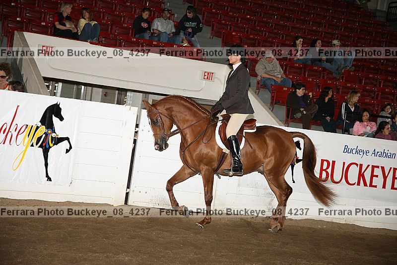 Proof buckeye_08_4237