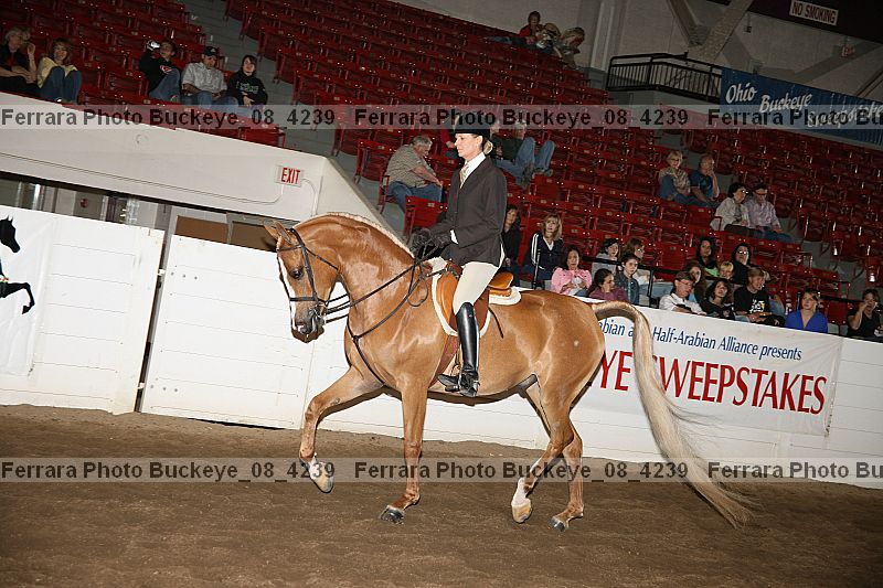 Proof buckeye_08_4239