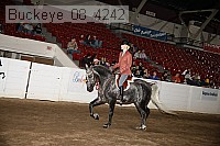 buckeye_08_4242 proof