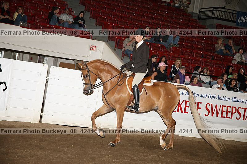 Proof buckeye_08_4244