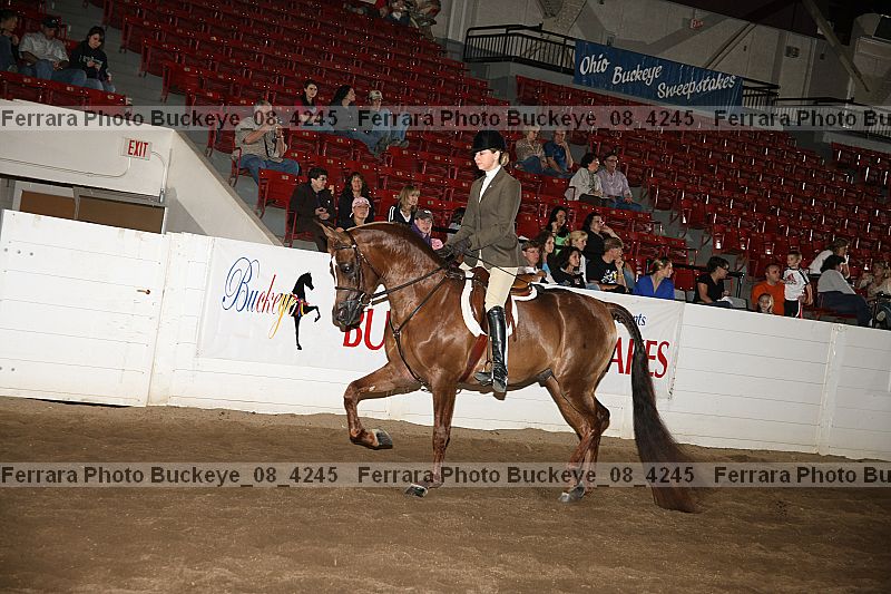 Proof buckeye_08_4245