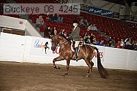 buckeye_08_4245 proof
