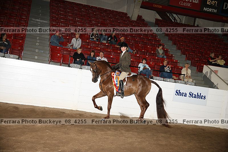 Proof buckeye_08_4255