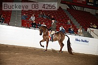 buckeye_08_4255 proof