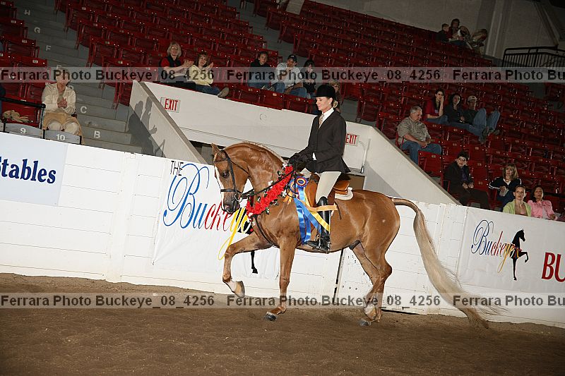 Proof buckeye_08_4256