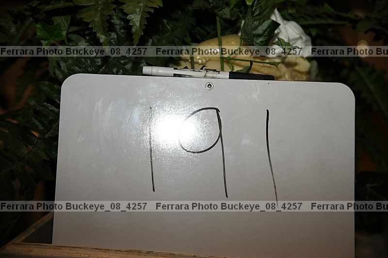 Proof buckeye_08_4257