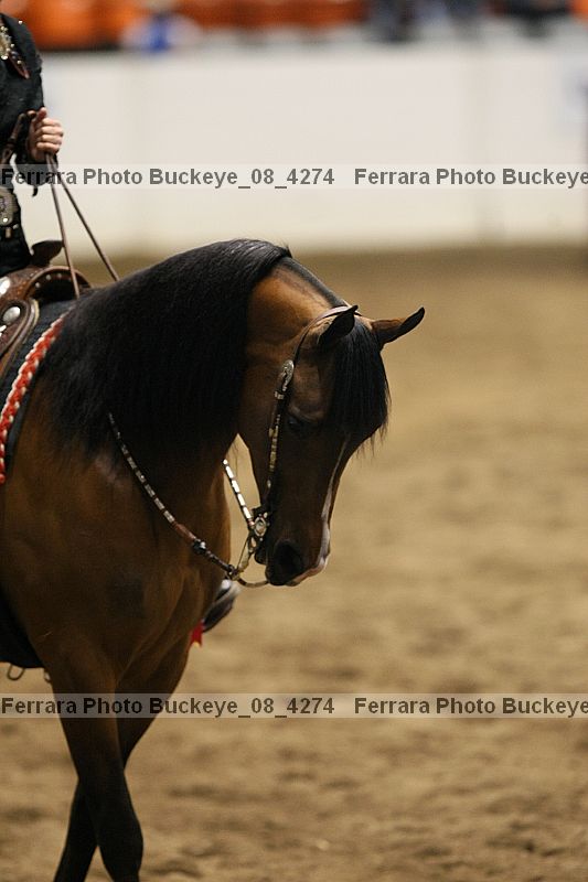 Proof buckeye_08_4274