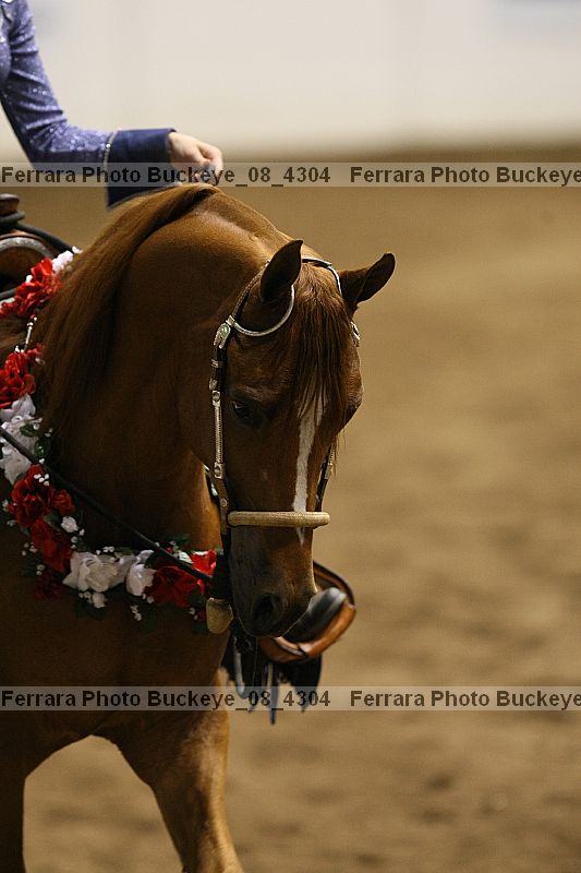 Proof buckeye_08_4304