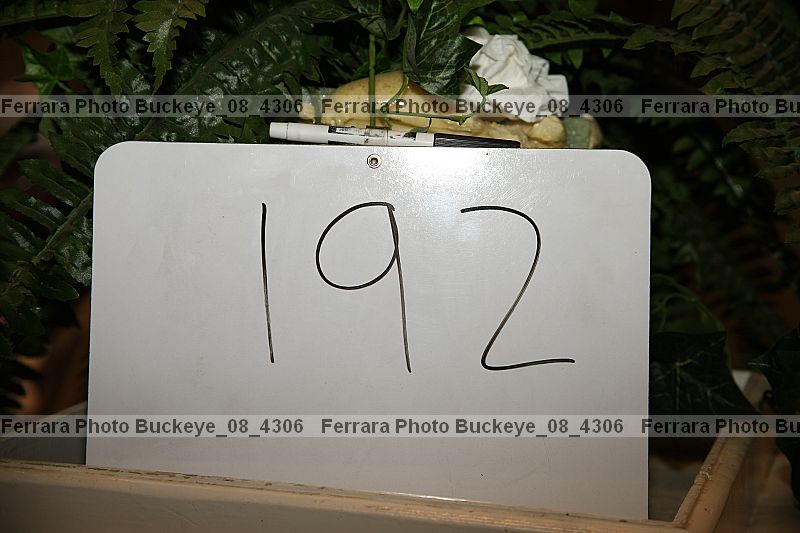 Proof buckeye_08_4306