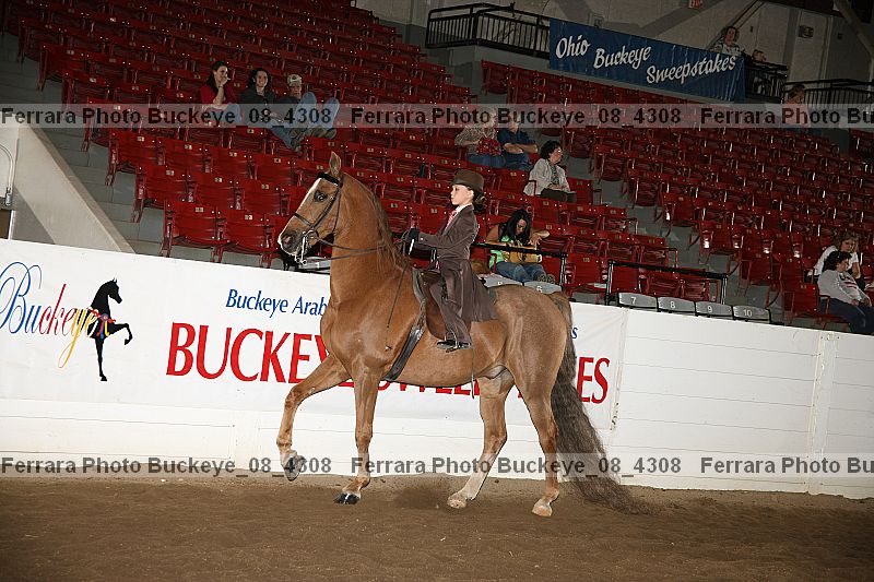 Proof buckeye_08_4308