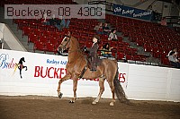 buckeye_08_4308 proof
