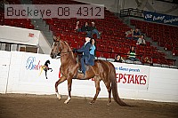 buckeye_08_4312 proof