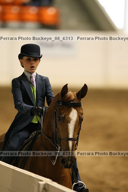 Proof buckeye_08_4313