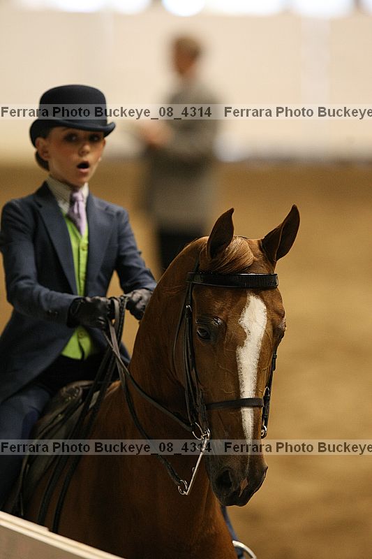 Proof buckeye_08_4314