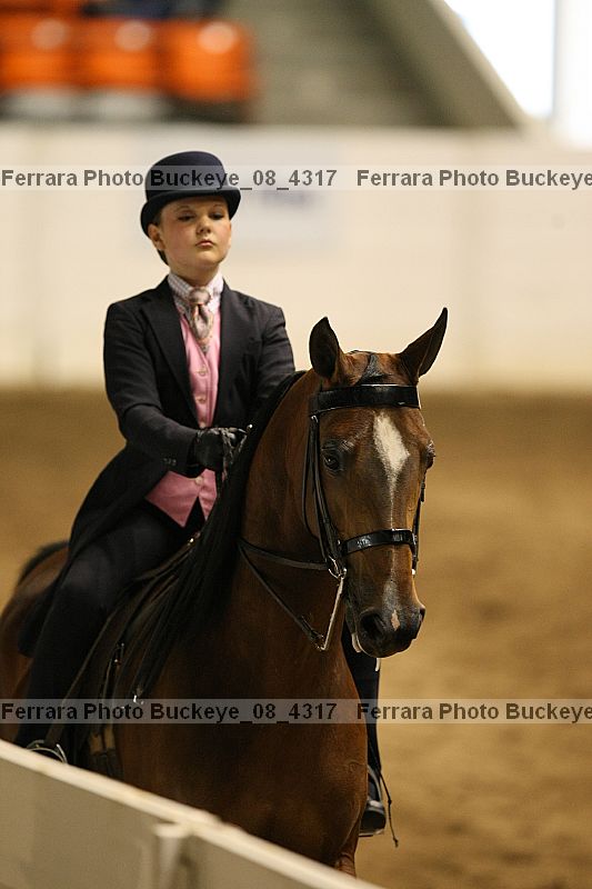 Proof buckeye_08_4317