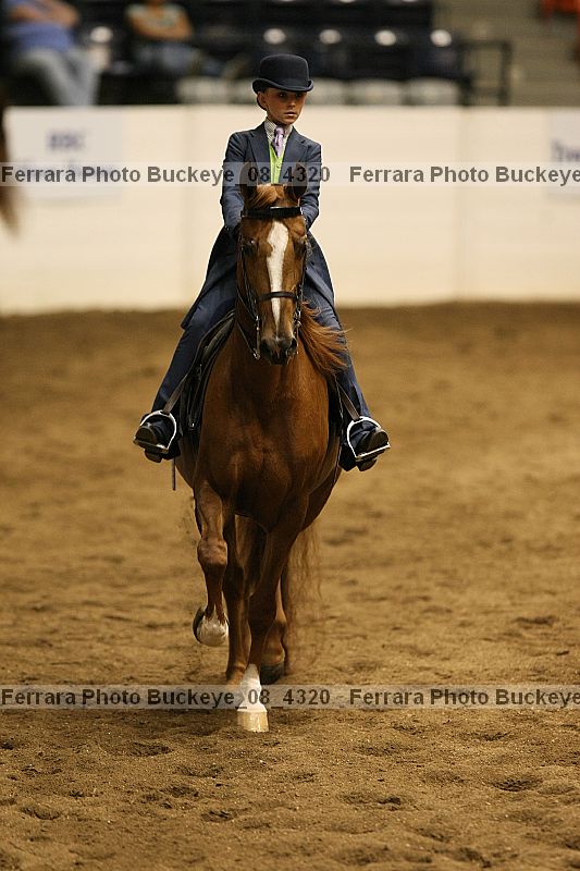 Proof buckeye_08_4320