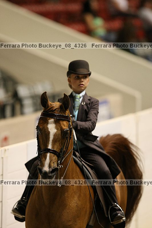 Proof buckeye_08_4326
