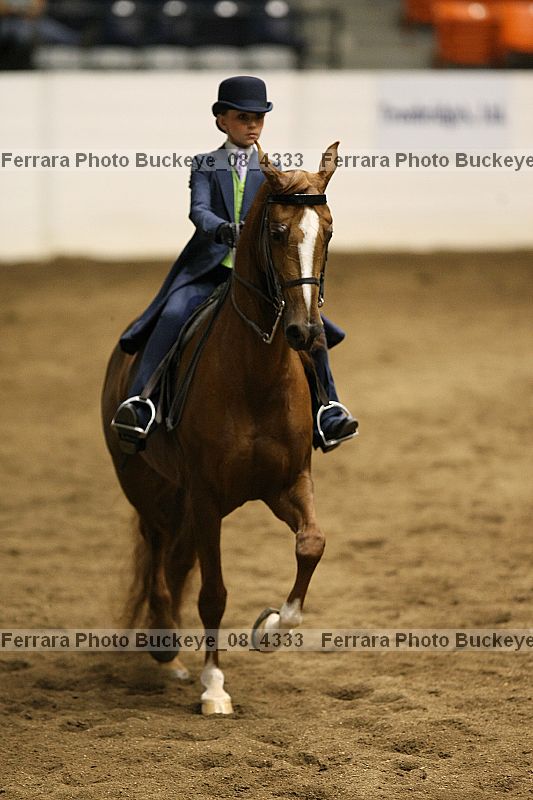 Proof buckeye_08_4333