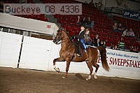 buckeye_08_4336 proof