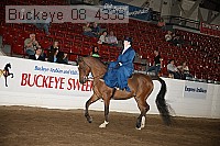 buckeye_08_4338 proof