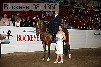 buckeye_08_4360 proof