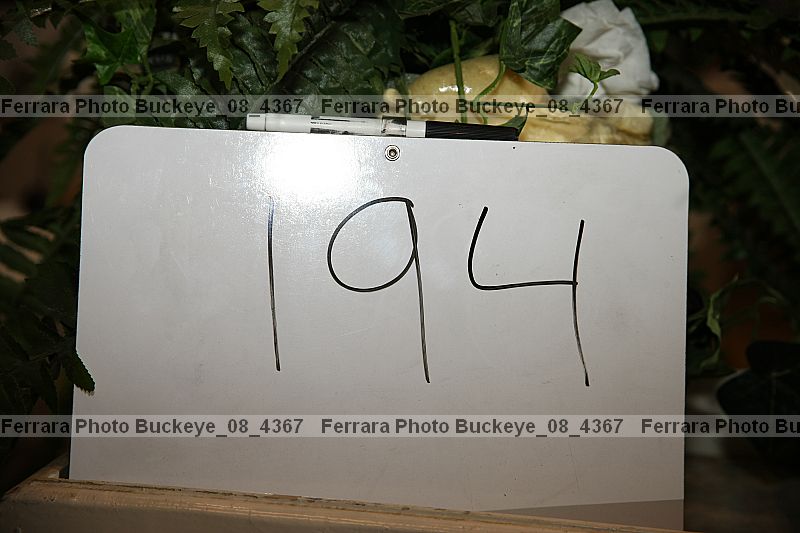 Proof buckeye_08_4367