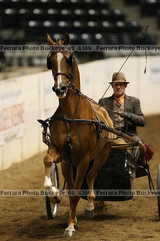 Proof buckeye_08_4369