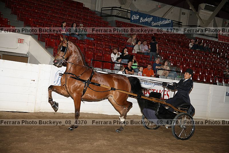 Proof buckeye_08_4370