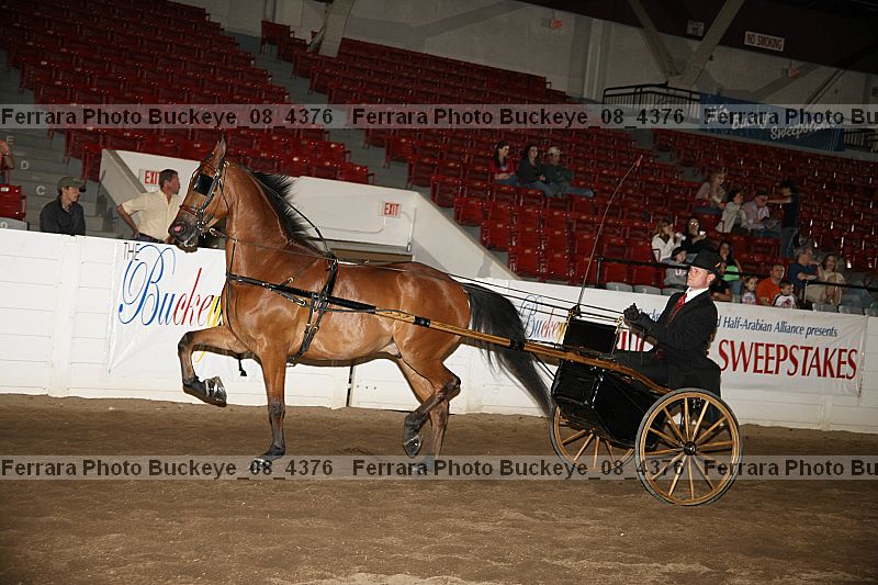 Proof buckeye_08_4376