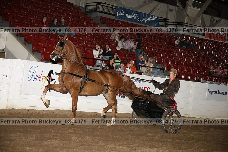Proof buckeye_08_4379