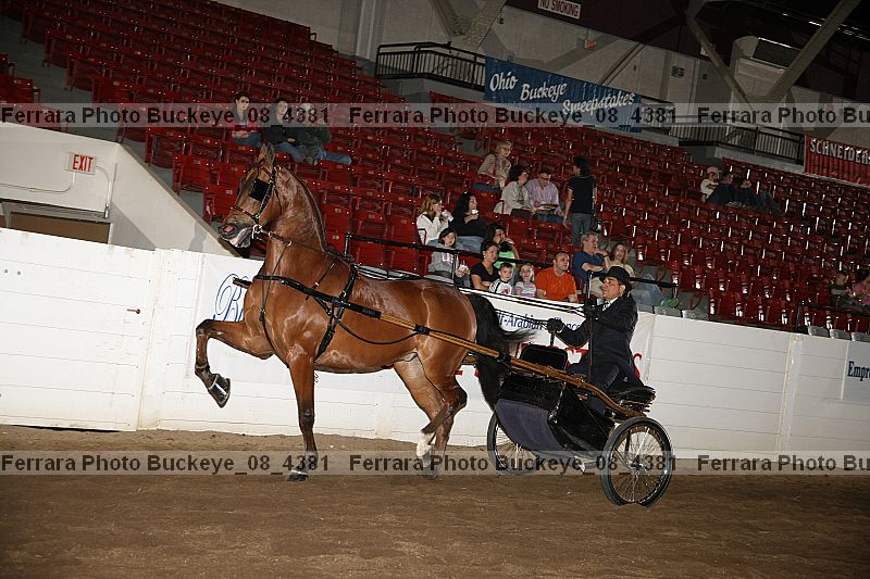 Proof buckeye_08_4381