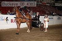 buckeye_08_4383 proof