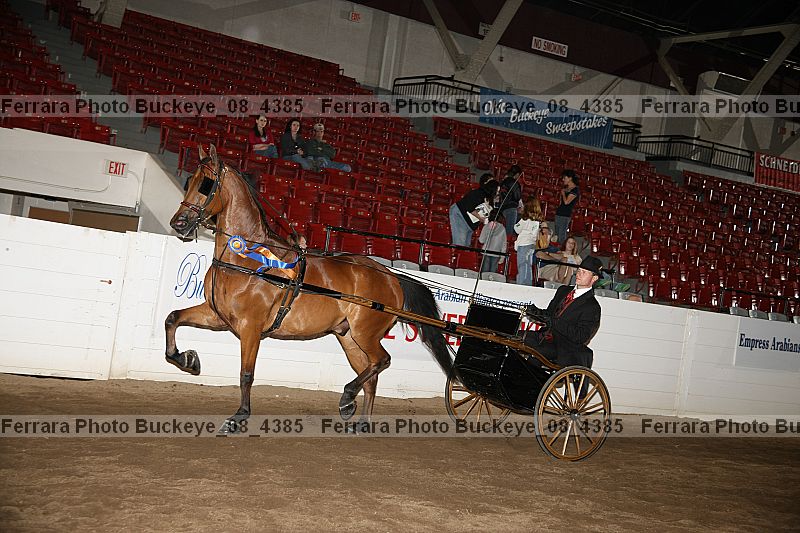 Proof buckeye_08_4385