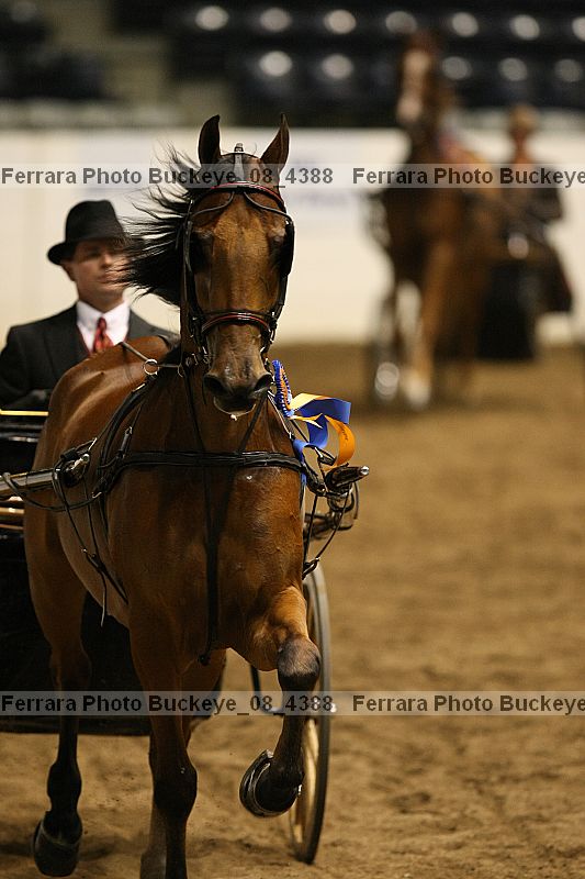 Proof buckeye_08_4388