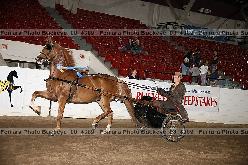 Proof buckeye_08_4389