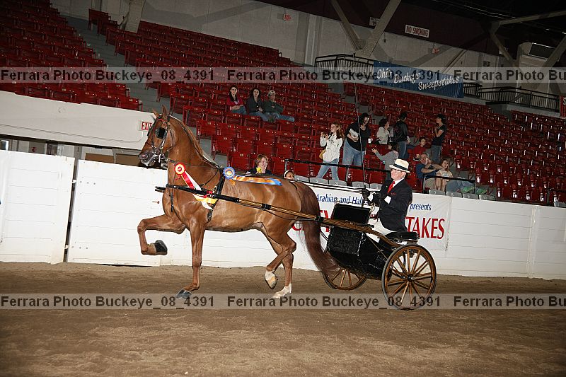 Proof buckeye_08_4391