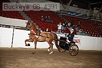 buckeye_08_4391 proof