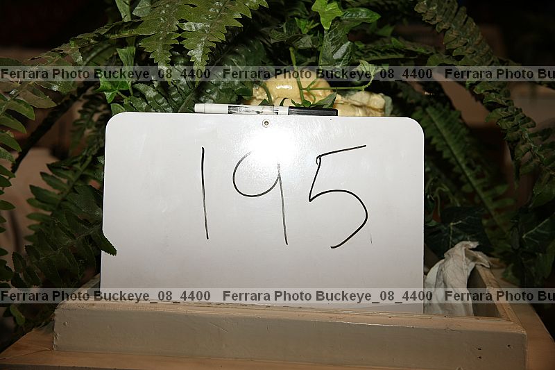Proof buckeye_08_4400
