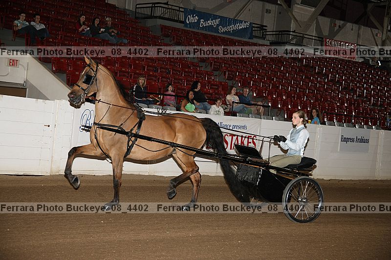 Proof buckeye_08_4402
